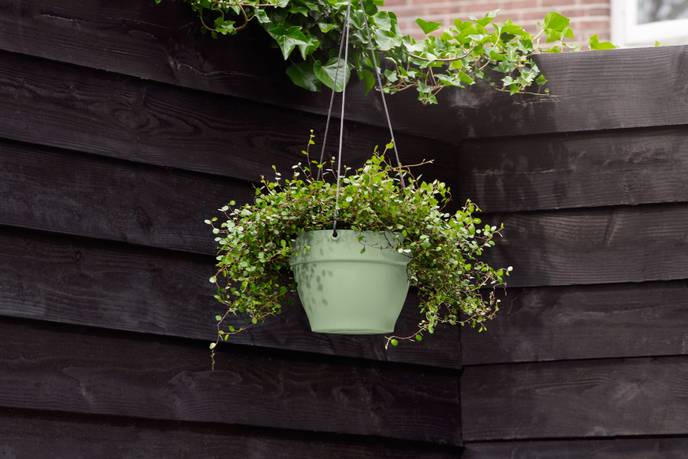 vibia campana hanging basket 26cm pistachio green